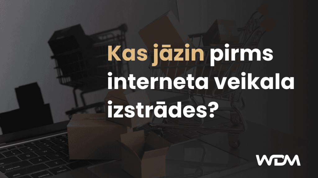 Kas jāzina pirms interneta veikala izstrādes?