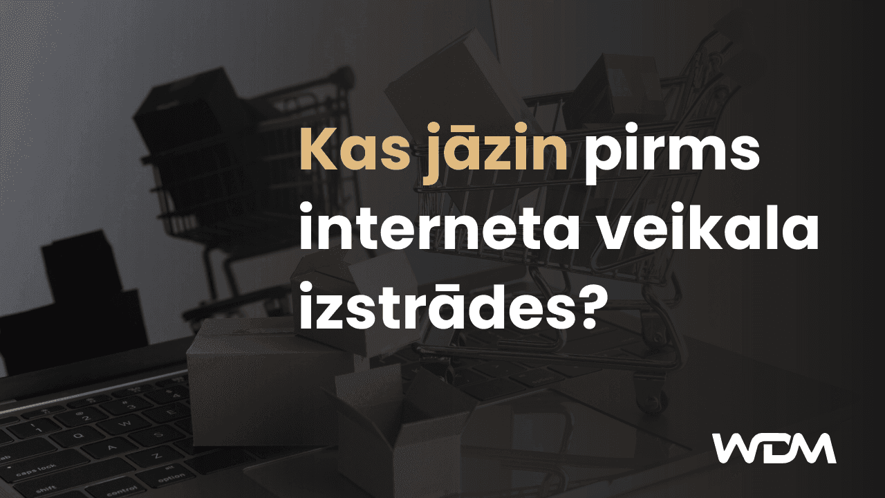 Kas jāzin pirms interneta veikala izstrādes?