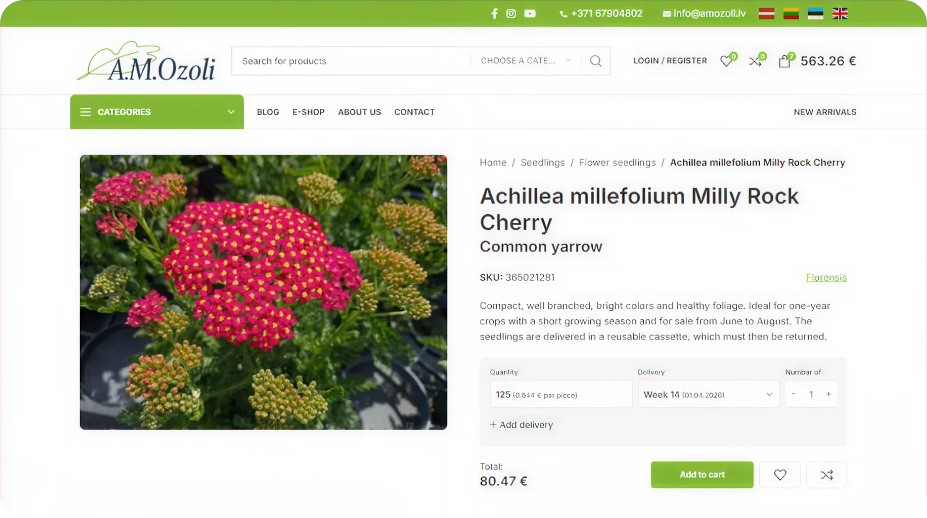 Kā AM Ozoli izveidoja četrvalodu Baltijas B2B un B2C WooCommerce platformu