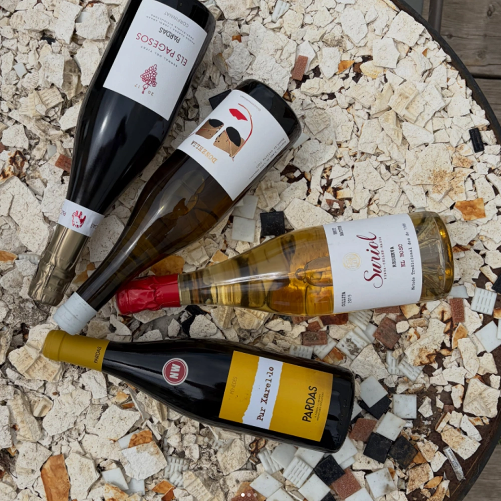 Kā Noble Wine pārgāja no lēna, reaktīva atbalsta uz nepārtrauktu optimizāciju