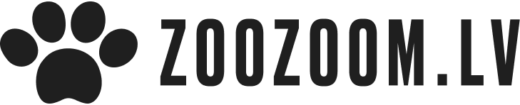 ZooZoom logo
